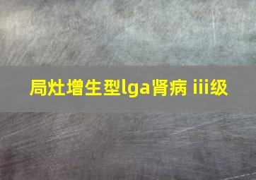 局灶增生型lga肾病 iii级